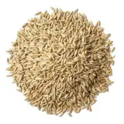 Rye Berries – Whole Grain Powerhouse for Bread, Sourdough, Porridge, and Granola