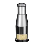 Pressed Garlic Chopper Stainless Steel Vegetable Garlic Masher Garlic Crusher
