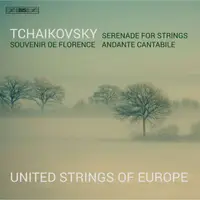 在飛比找蝦皮商城優惠-柴可夫斯基 弦樂小夜曲 歐洲聯合弦樂團Tchaikovsky