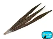 10 pieces - 16-18" NATURAL LONG Ringneck Pheasant Tail Feathers