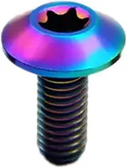 YEJIANGHUA 4pcs Titanium Bolt M5 X 15mm Ti Screws Hexagon Socket/Torx Umbrella Head Compatible with Motorcycle Shell Fix Fasteners Compatible with Motorcycle Natural (Color : Torx-Multicolor, Size