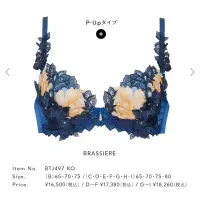 在飛比找蝦皮購物優惠-日本製salute莎露內衣/店鋪限定97G系列