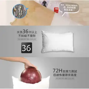 3M新一代防蹣水洗枕-兒童型(55*40cm)-附純棉枕套 (8.4折)