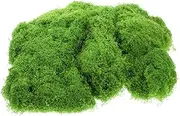 1 Set Artificial Moss Fake Moss Decor Plant Fake Lichen Faux Drooping Plants Decorating Faux Greenery Stems Tree Decoration Artificial Garden Decor Potted Light Green Silk Floss
