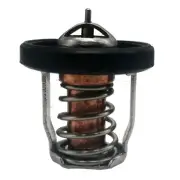 Thermostat For Suzuki 2.5HP 4 HP 6HP Outboard 17670-91J01 17670-91J00 OMC5033385