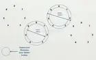 4 Circle Replacement 1-6 Dial Hob Cooktop Switch Stove Oven Gas Top Zero CL