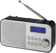 NEWTRO Portable DAB Radio with Integrated Battery (DAB/FM Radio, Speaker, Headphone Connection, Button Control, Stations Memory, Telescopic Panel)