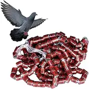 Birds Foot Rings - 50 Pieces Safe Pigeon Supplies Bands | 2025 Pigeon Supplies Bands | Bird Foot Rings | Leg Rings for Chick Bantam | Pegeon Accessories for Racing Parrot Chicks Duck