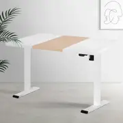 Standing Desk Motorised Sit Stand Desks 120CM