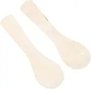 JECOMPRIS Luxurious Caviar Serving Spoons 2pcs for High-end Cuisine and Decorative Use