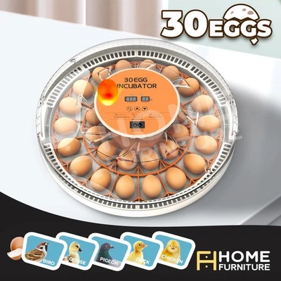Automatic 30 Egg Incubator Hatcher Hatching Hatchery Machine with Auto Turner