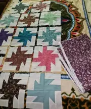 Lot Of 14 VTG Patchwork Blocks 9" Plus JoAnn OOP Cotton Leaf Print Fabric 3 Yrds