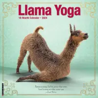 在飛比找博客來優惠-Llama Yoga 2024 12 X 12 Wall C