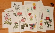 Vintage Flower Rose Themed Ephemera Scrapbooking Junk Journal Paper 12 Sheets