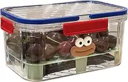 Picnic Food Storage | Camping Snack Box | Snack Storage Containers, Multi Compartment Food Storage Box, Versatile Food Storages Solutions for Outdoor Picnics and Hiking