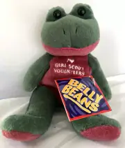 Mary Meyer Bean Bag Plush I Love Girl Scout Volunteers Frog New With Tags Rare