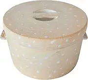 Banko Ware 0094-0063 Tensui Kiln Ryuichi Inagaki Hand Made Ohitsu Polka Dot
