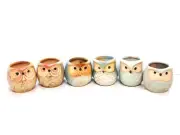 6 NEW SUN-E MINI CERAMIC OWL BIRD 2 1/2" FLOWER POTS SUCCULENT BONSAI-BOXED