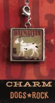 "Dalmatian Records" Charm for Purse, Zipper Pull, Bracelet, Pet Collar, Etc.