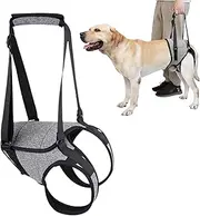 Dog Support Harness - Pet Rehabilitation Aid, Soft Sling Assist, Comfortable Padded Design | Adjustable Lift Assist Sling For Large Breeds, Dog Support And Rehab Harness For Weak Rear Legs