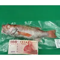 在飛比找蝦皮購物優惠-【海鮮7-11】野生紅喉魚  550-600克上/隻 ▶高檔