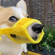5 Sizes Soft Mesh Muzzle Anti Bark Bite Chew Dog Muzzles Pet Accessories