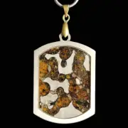 Pallasite meteorite pendant , Brenham Pallasite meteorite Necklace CB89