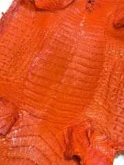 Caiman Skin Leather Tangerine Color (100% Genuine skin)