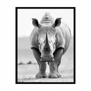 Rhino Framed Print Fine Art Poster Print ArtFramed Poster