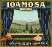Cucamonga Ioamosa Orange Citrus Fruit Crate Label Art Print