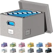 DYWMM File Organizer Collapsible Storage Box for Office File Box with Lids Document Organizer for Office and Home Easy Slide Durable Hanging File Box (Light Gray)