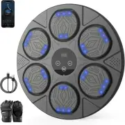 Boxing Music Machine - Smart Wall Mount Trainer with Gloves