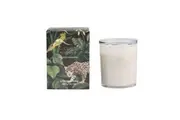 Australia Scented Candle Lime Basil and Mandarin 400g/14.1 OZ