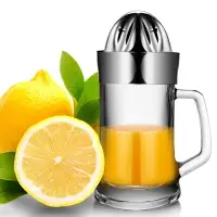 在飛比找樂天市場購物網優惠-304不銹鋼手動榨汁器玻璃榨汁機迷你家用水果小型橙子檸檬榨汁