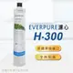 Everpure 美國原廠平行輸入 H300 濾心[E0005]-水蘋果專業淨水/快速到貨購物中心