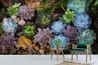 3D Succulent Background Wallpaper Wall Mural Removable Self-adhesive 448