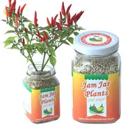 在飛比找PChome24h購物優惠-【迎光】Jam Jar Plants小植栽-五彩辣椒