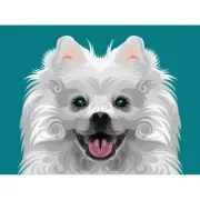 Dog Illustration Spitz Swirls Unframed Wall Art Print Poster Home Decor