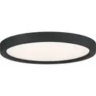 James Allan QZCF6415 Randolph 11"W LED Flush Mount Ceiling - Black