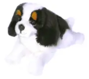 Cavalier King Charles Dog Plush Toy - Alex - 28 cm