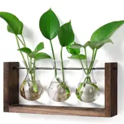 Plants Propagation Stations with Wooden Stand, Wall Hanging Glass Planter Tab...