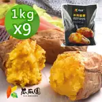 【瓜瓜園】台農57冰烤地瓜 1KGX9包