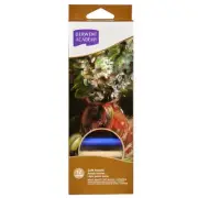 NEW Derwent Academy Soft Pastels Blocks Assorted Pack 12 Blendable