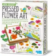 Green Science Pressed Flower Art, Recycle Fallen Flowers and Leaves, Inspire Gre