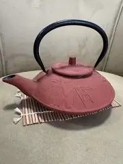 Cast Iron Teapot With Strainer. New