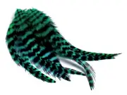 1 Dozen - Short Peacock Green Grizzly Whiting Farm Rooster Saddle Hair Feathers