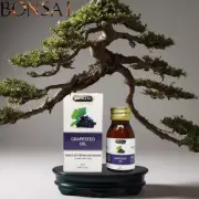 2X Hemani Grapeseed Oil Natural 100% Oil 30 ml زيت بذور العنب , free shipping