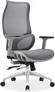 MIUZ Ergonomic Gaming Chair Office Executive Racing Seat Computer Chair Study Work Chair Mesh Lumbar High Back - Grey Mesh