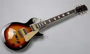 EART Electric 6 Strings Guitar tiger stripe maple fretboard,mahogany neck and body Rosewood fingerboard HH zebra pickup EGLP-512L (Fade)
