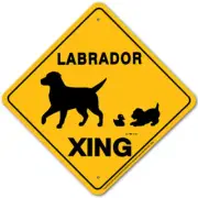 Labrador Xing Sign Aluminum 12 in X 12 in #20432